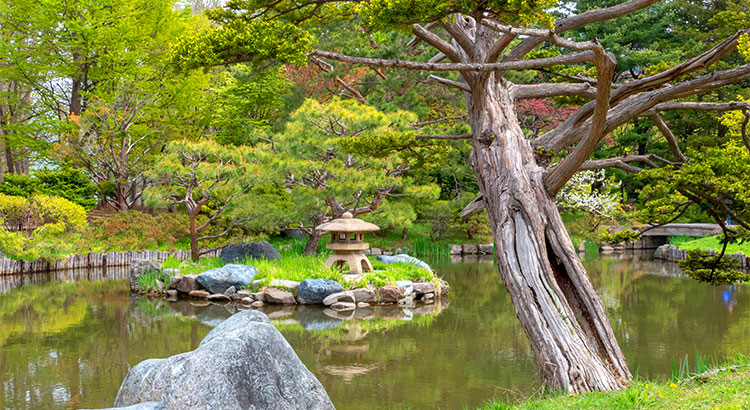 中島公園