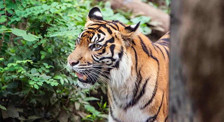 上野動物園