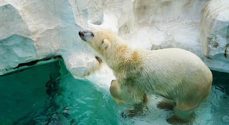 上野動物園