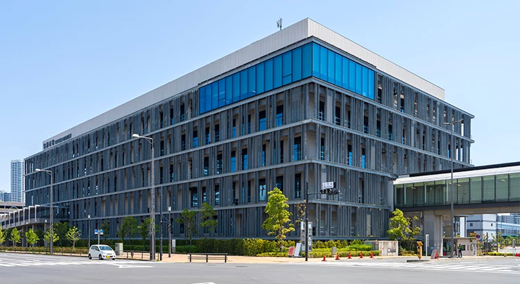 豊洲市場