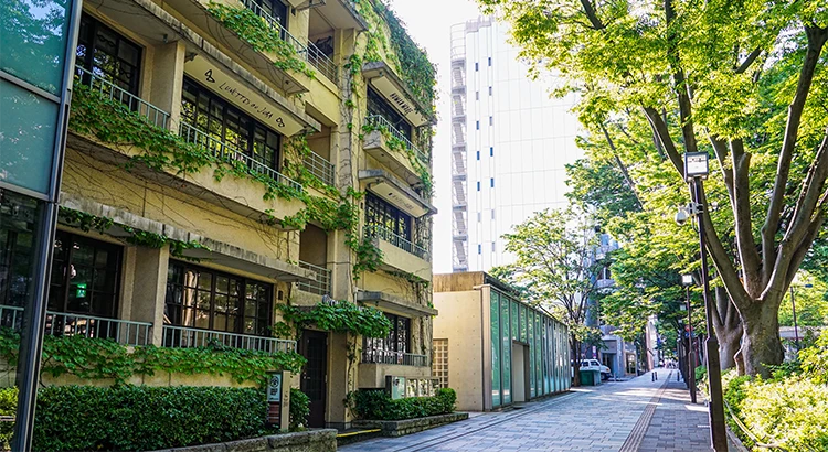 表参道ヒルズ
