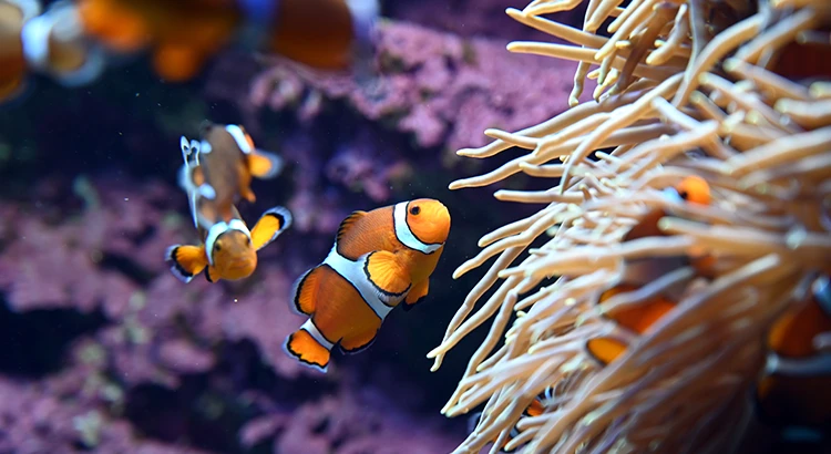 サンシャイン水族館
