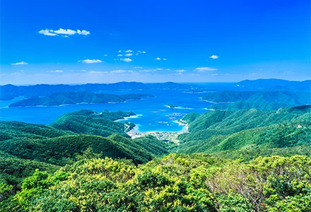 鹿児島サンロイヤルホテル