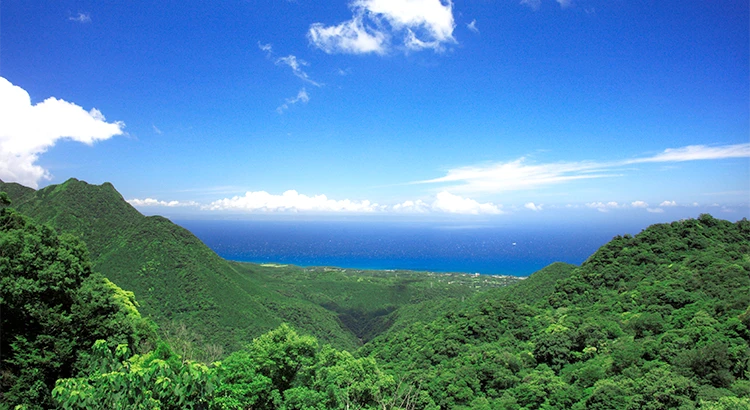 屋久島