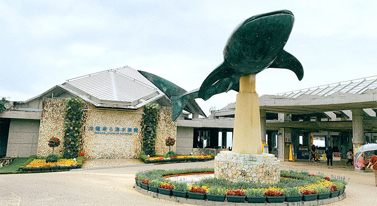 沖縄美ら海水族館
