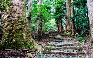 熊野古道