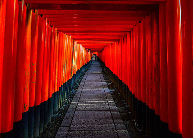 京都日帰り旅イメージ