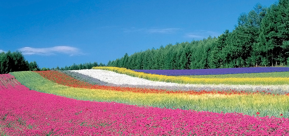 北海道特集