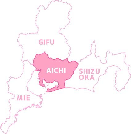 愛知地図