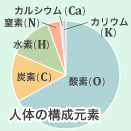 1食あたり約1