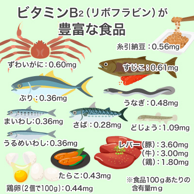 ビタミンB2が豊富