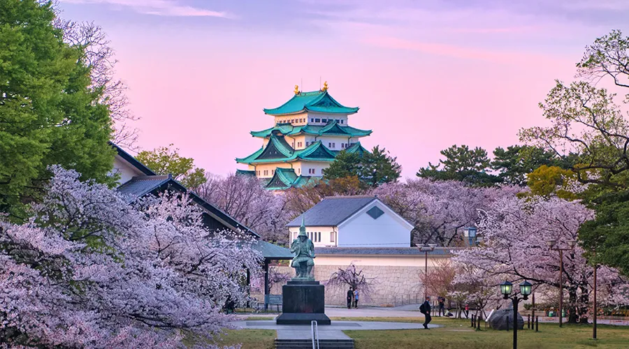 Nagoya Castle Sakura