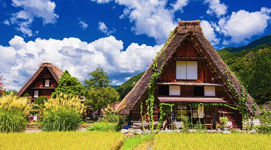 Shirakawa-go Summer