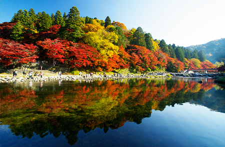 Autumn Leaves in Korankei & Obara Shikizakura Cherry Blossoms Viewing One Day Bus Tour with English Speaking Staff