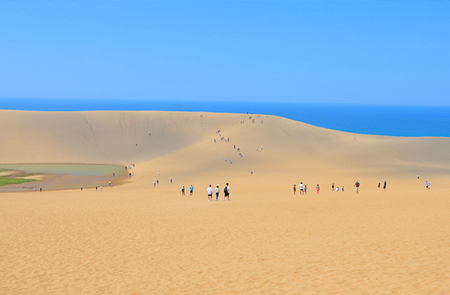 Tottori Sand Dunes and Sand Museum 1-day Bus Tour One Day Bus Tour with English Speaking Staff