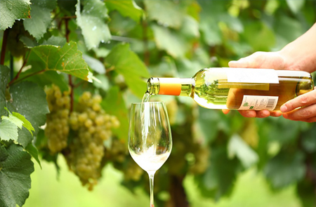 [Shinjuku Station] Koshu Kaido Special Walking Tour with Paul Christie