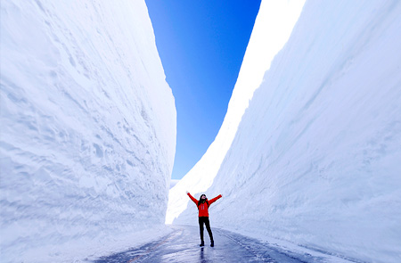 [DAY TRIP] SNOW WALL AT TATEYAMA KUROBE 1-Day Bus Tour with English Speaking Staff