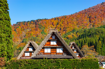 Visit two world heritage sites Regular tour bus Gokayama Ainokura and Shirakawa-go