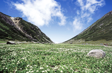 Spectacular view! Mt. Norikura & Snow Wall One Day Bus Tour with English Staff