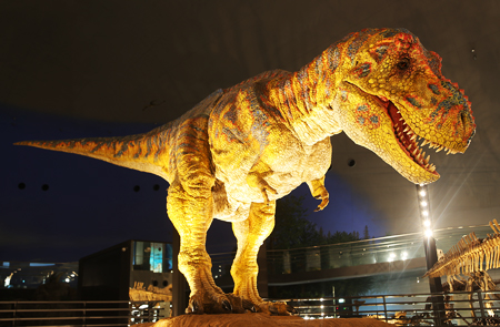 Fukui Prefectural Dinosaur Museum 1-day Bus Tour One Day Bus Tour with English Staff