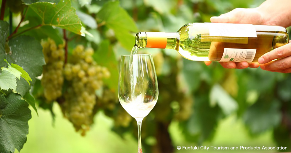 Wine [Illustrative Photography]