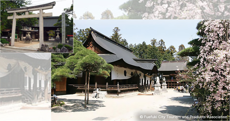 Asama Jinja (Shrine) [Illustrative Photography]