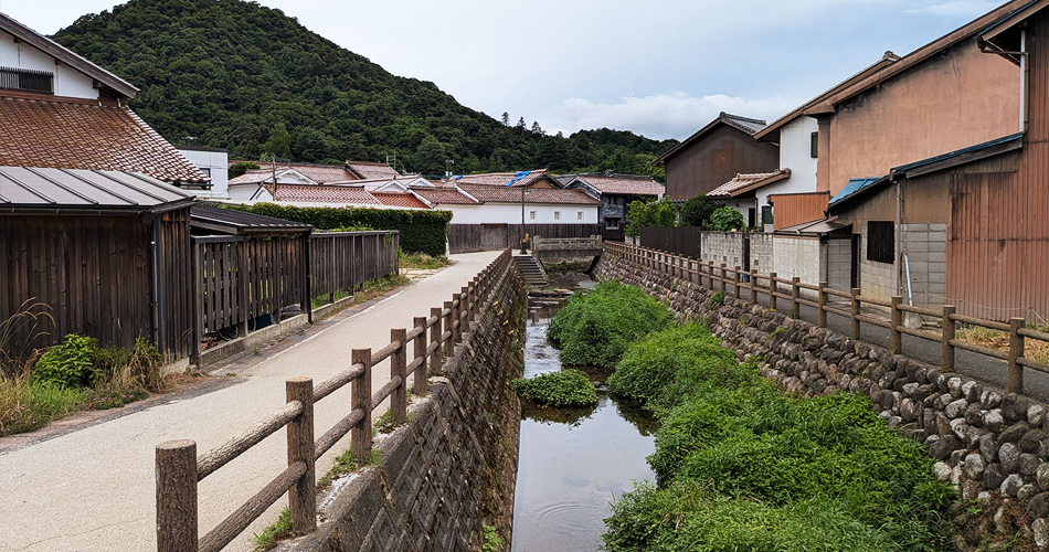 Tamagawa Riverbanks [Illustrative Photography]